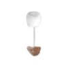 2026 Small Spoon 3